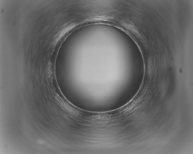 X0000069391404200605150931