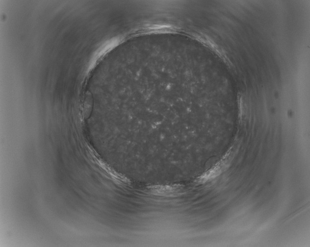 X0000069391405200605150931