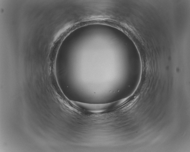 X0000069391406200605150931