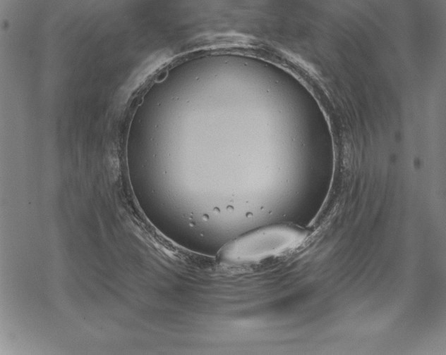 X0000069391407200605150931