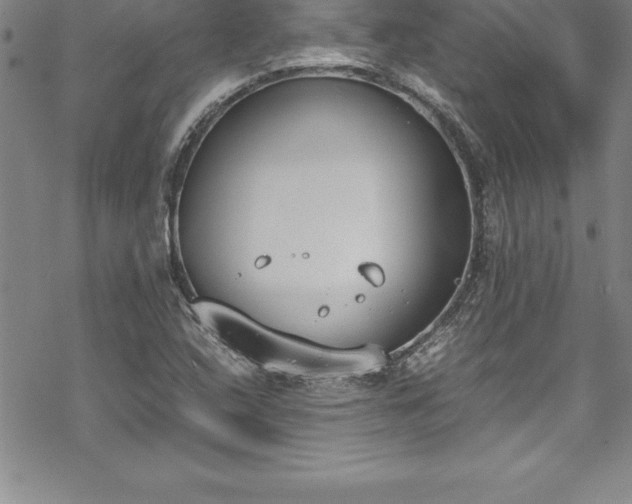 X0000069391408200605150931