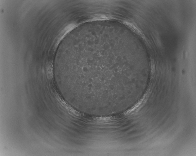 X0000069391409200605150931