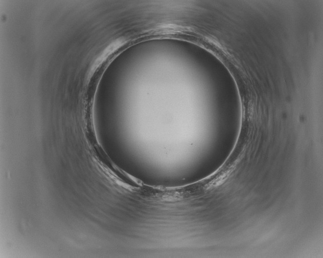 X0000069391410200605150931