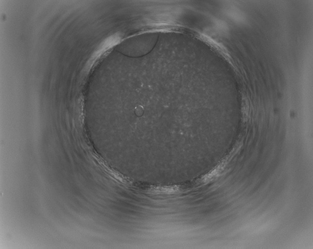 X0000069391411200605150931