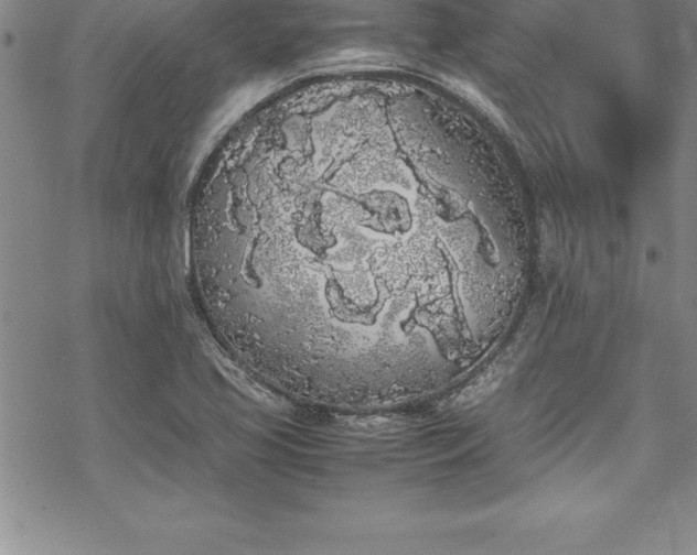 X0000069391413200605150931