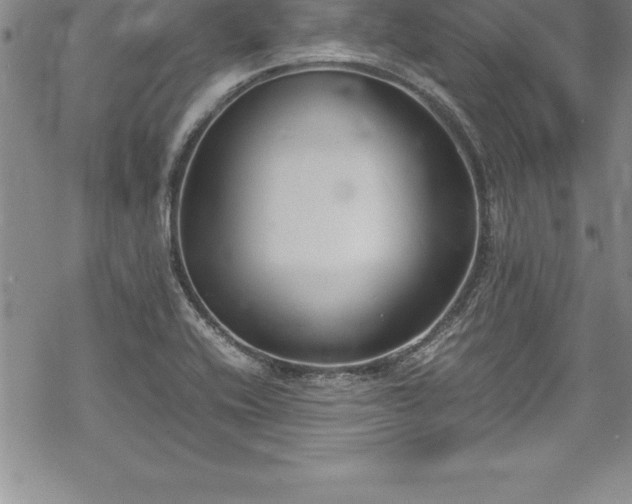 X0000069391416200605150931