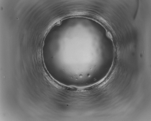 X0000069391417200605150931