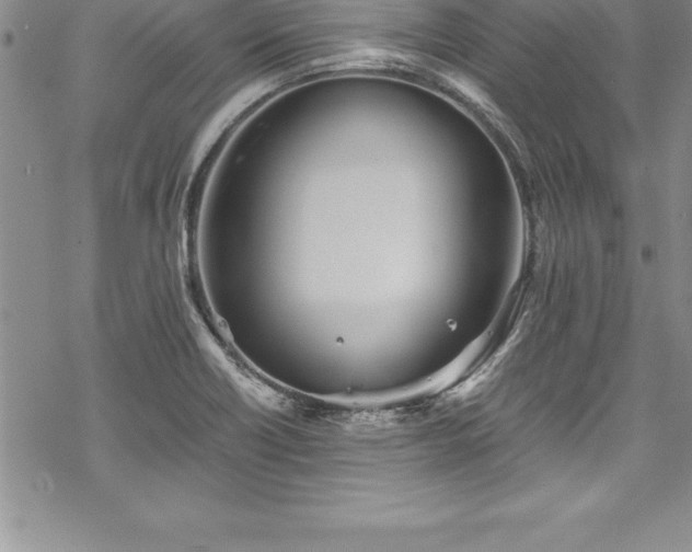 X0000069391418200605150931