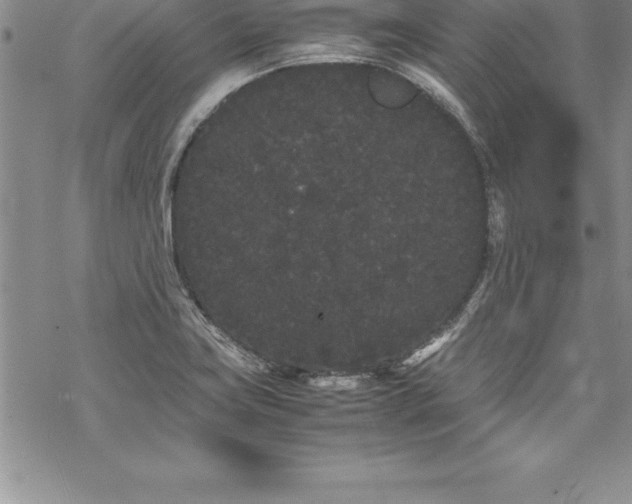 X0000069391419200605150931