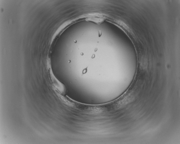 X0000069391420200605150931