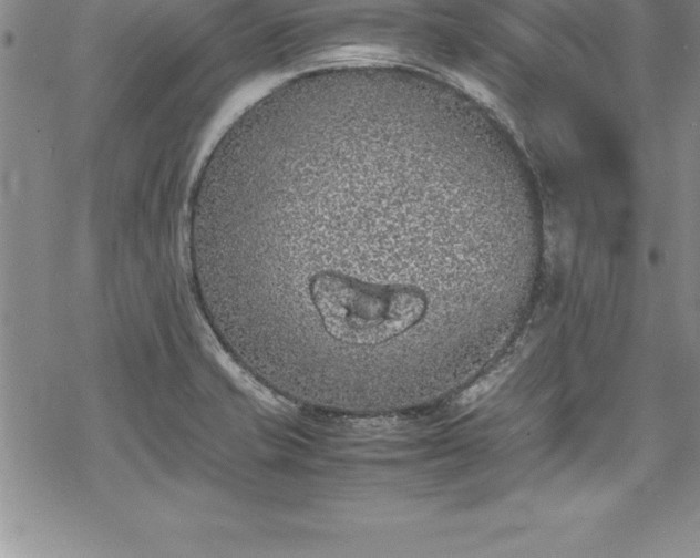 X0000069391421200605150931