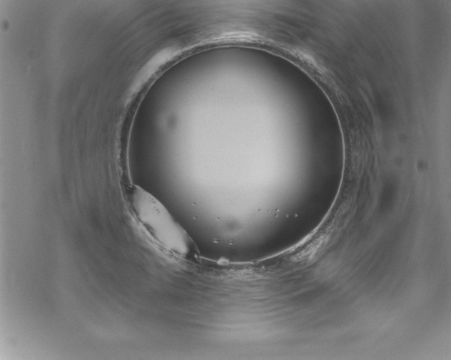 X0000069391422200605150931