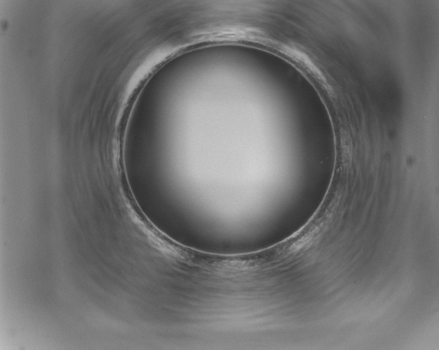 X0000069391424200605150931