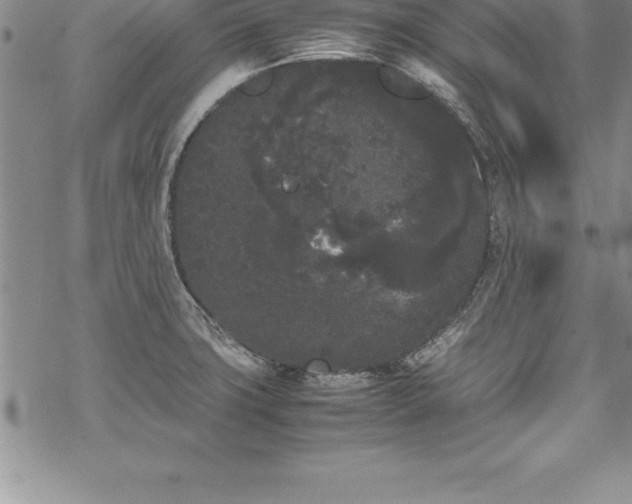 X0000069391427200605150931