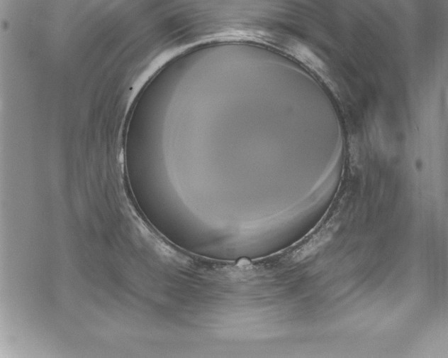 X0000069391428200605150931