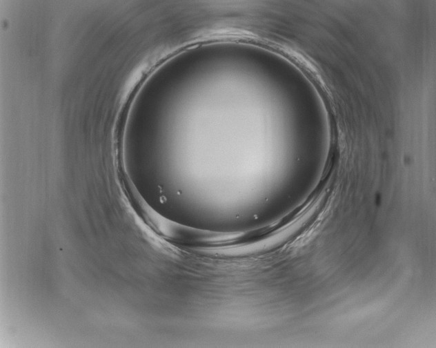 X0000069391430200605150931