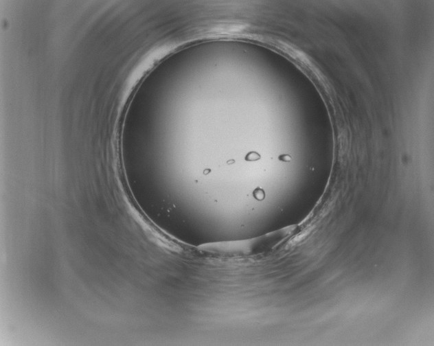 X0000069391432200605150932