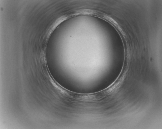 X0000069391433200605150932