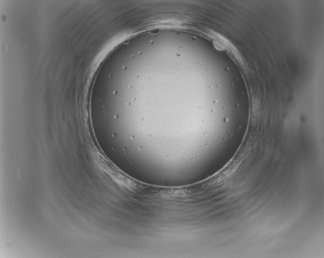 X0000069391435200605150932