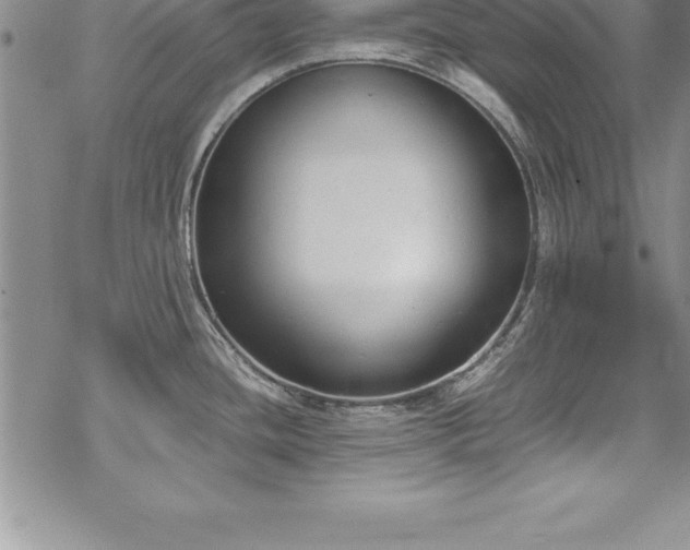 X0000069391436200605150932