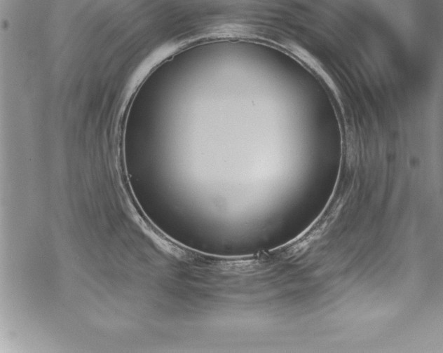 X0000069391437200605150932