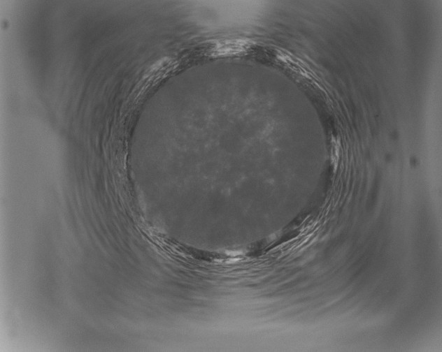 X0000069391441200605150931