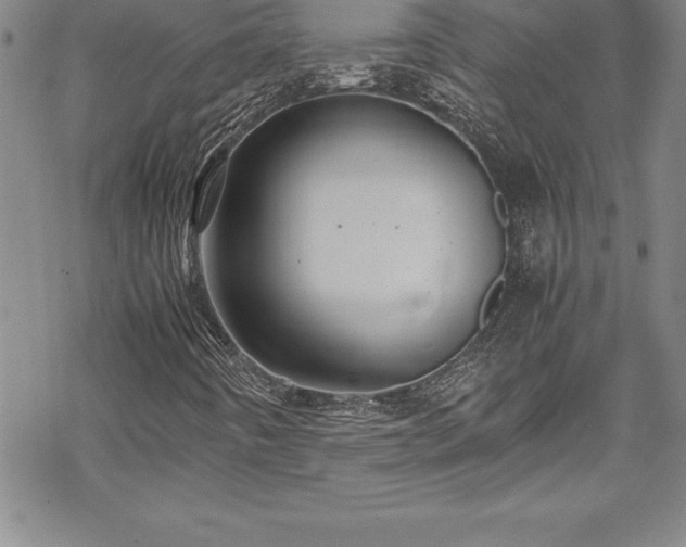 X0000069391442200605150931