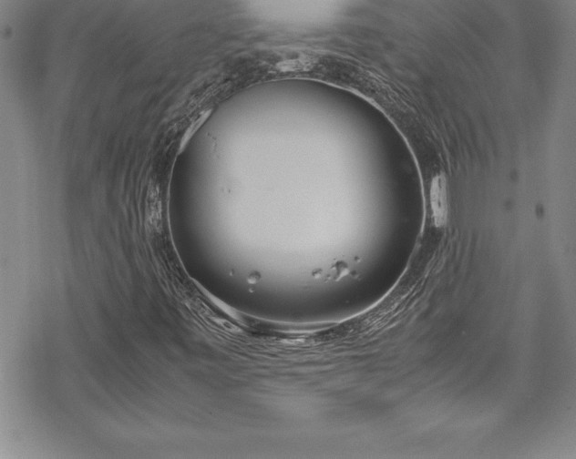 X0000069391443200605150931