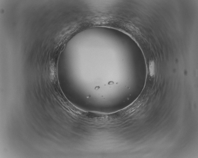 X0000069391444200605150931