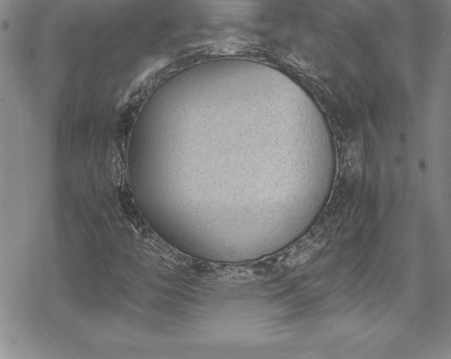 X0000069391446200605150931