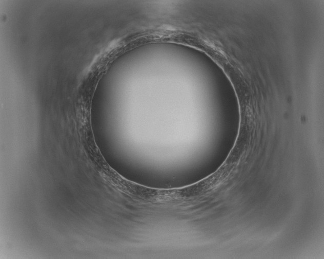 X0000069391447200605150931