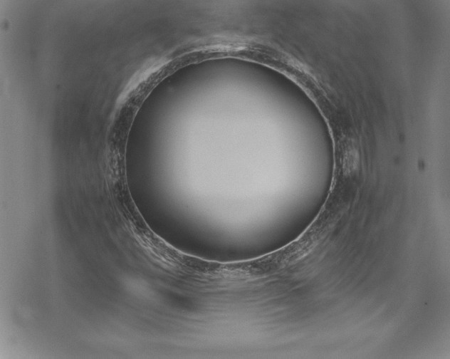 X0000069391448200605150931