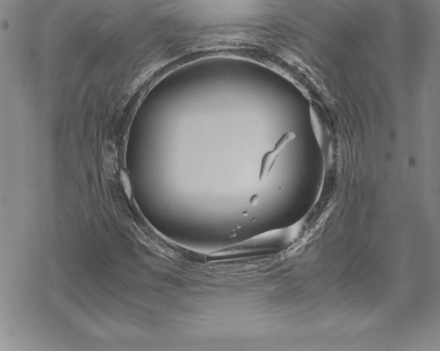 X0000069391449200605150931