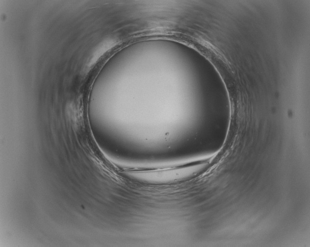 X0000069391450200605150931