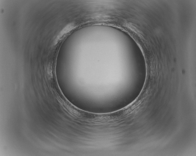 X0000069391451200605150931