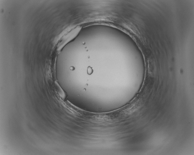 X0000069391452200605150931