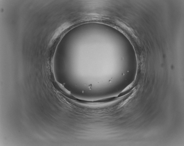 X0000069391453200605150931