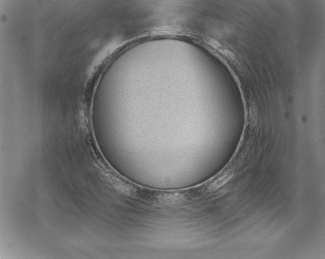 X0000069391454200605150931