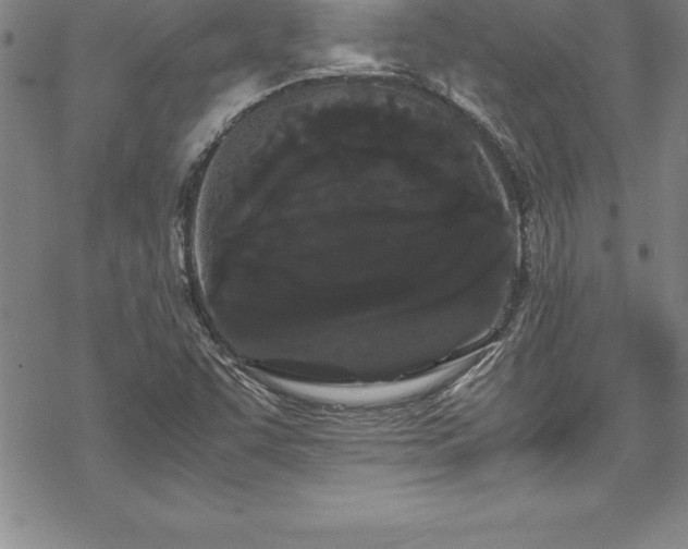 X0000069391455200605150931