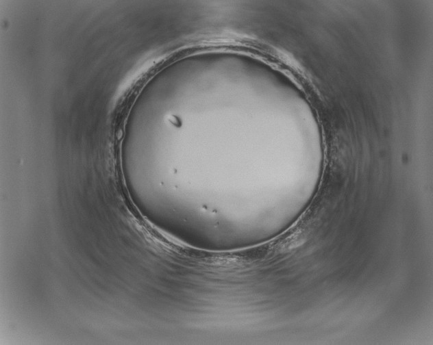 X0000069391456200605150931