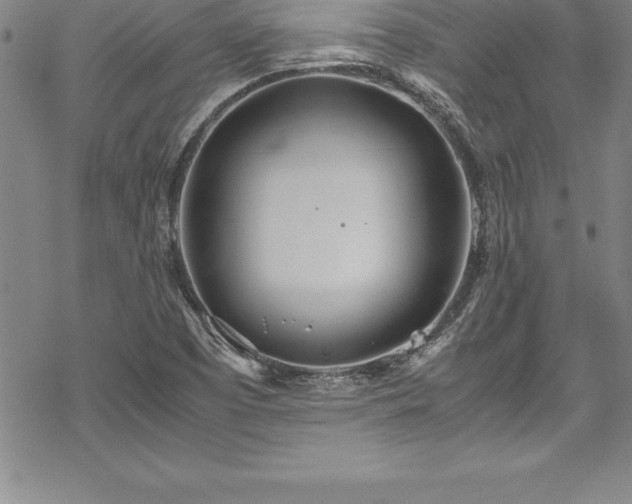 X0000069391457200605150931