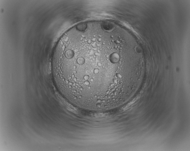 X0000069391459200605150931