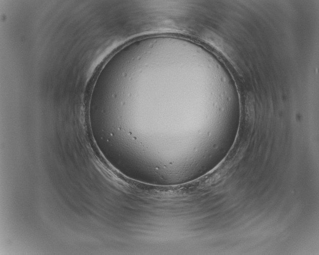 X0000069391460200605150931