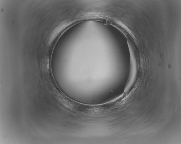 X0000069391461200605150931