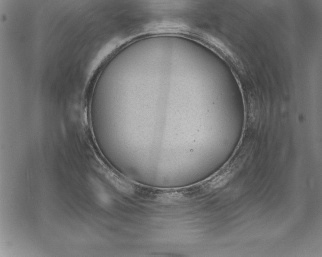 X0000069391462200605150931