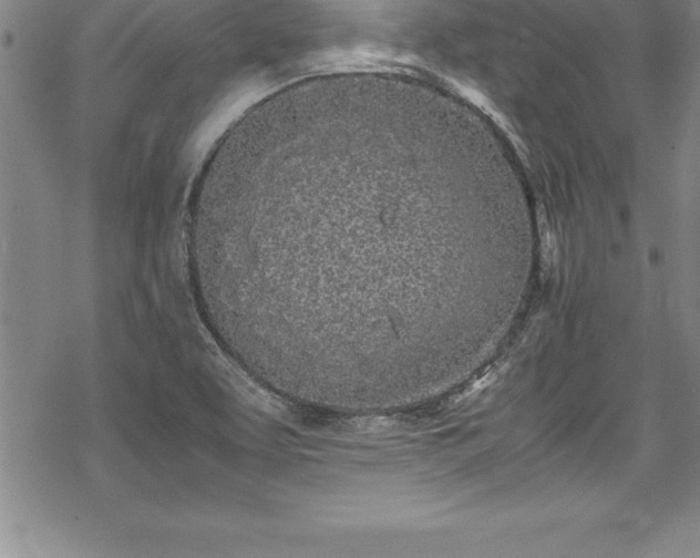 X0000069391463200605150931