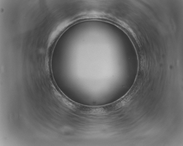 X0000069391464200605150931