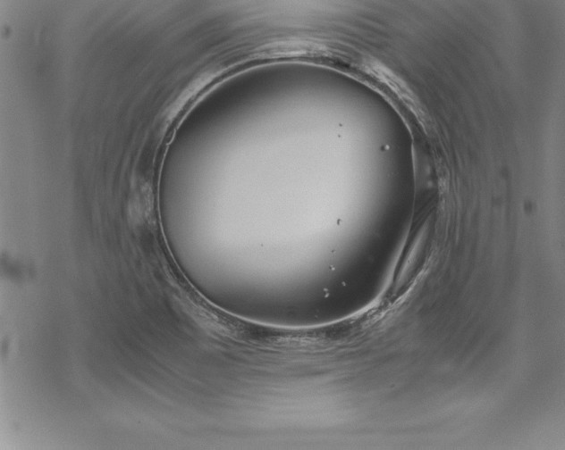 X0000069391465200605150930