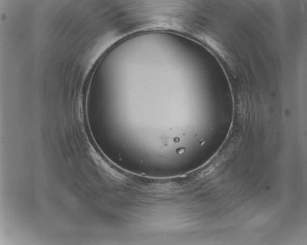 X0000069391468200605150930