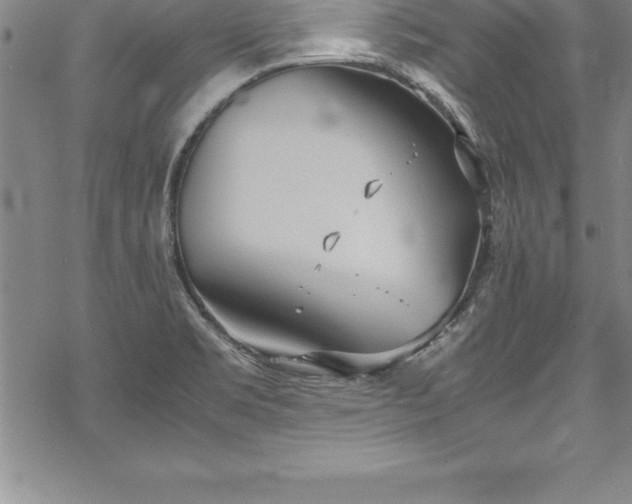 X0000069391469200605150930